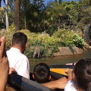 Meet your Posher, Ana